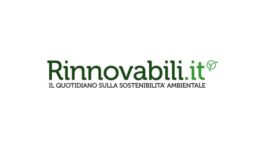 corrieredivitarbo-logo