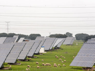 fotovoltaico-e-agricoltura